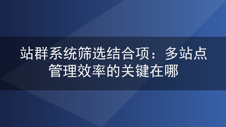 站群系统筛选结合项：多站点管理效率的关键在哪