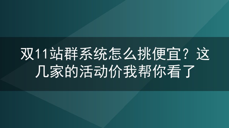 双11站群系统怎么挑便宜？这几家的活动价我帮你看了