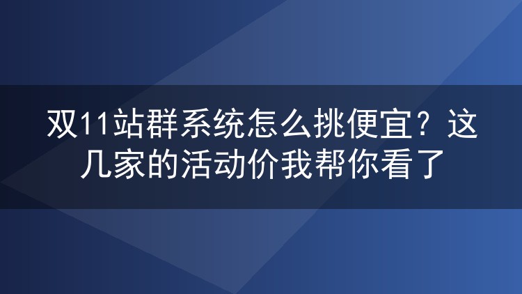 双11站群系统怎么挑便宜?这几家的活动价我帮你看了
