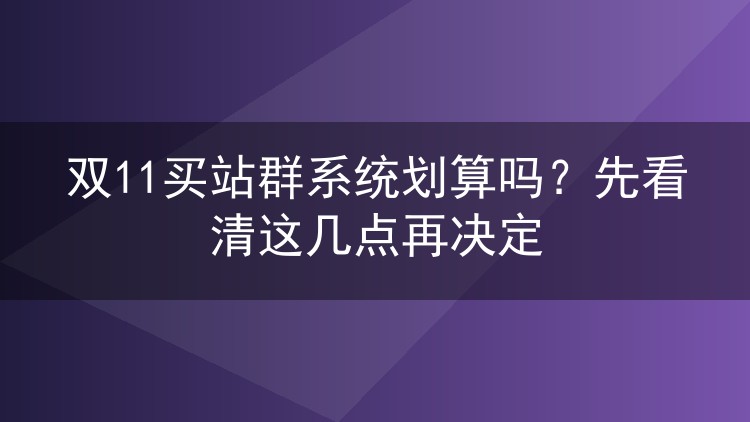 双11买站群系统划算吗?先看清这几点再决定