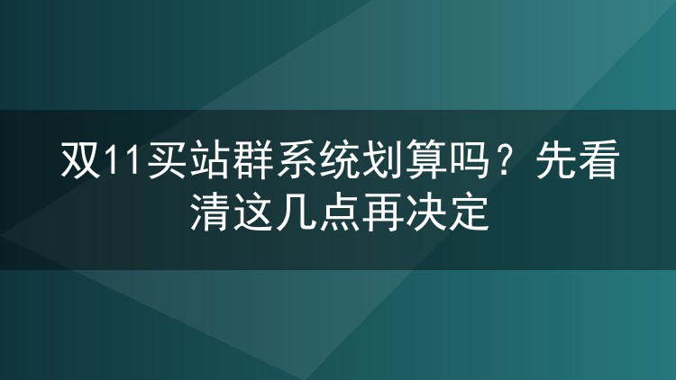 双11买站群系统划算吗？先看清这几点再决定