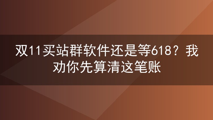 双11买站群软件还是等618?我劝你先算清这笔账