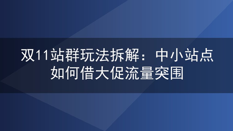 双11站群玩法拆解：中小站点如何借大促流量突围