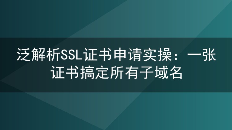 泛解析SSL证书申请实操:一张证书搞定所有子域名