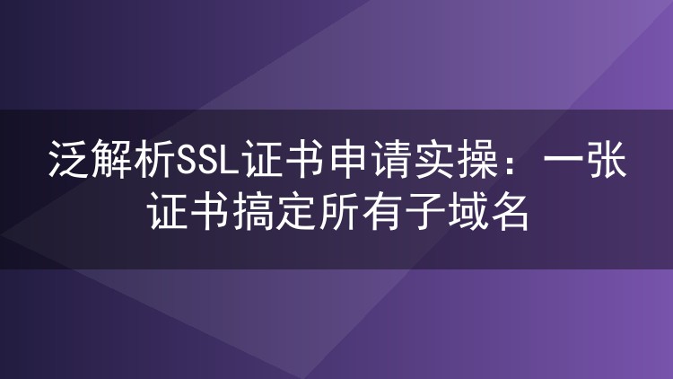 泛解析SSL证书申请实操：一张证书搞定所有子域名