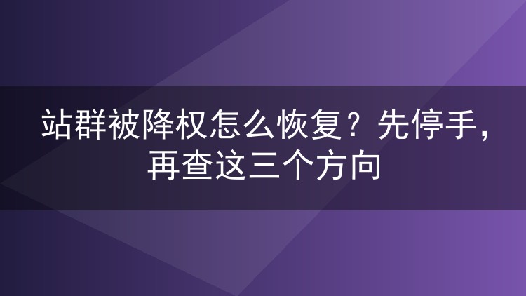 站群被降权怎么恢复?先停手,再查这三个方向