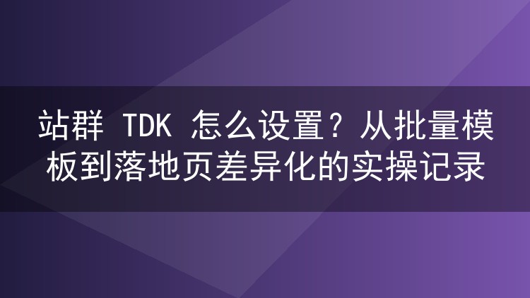 站群 TDK 怎么设置?从批量模板到落地页差异化的实操记录