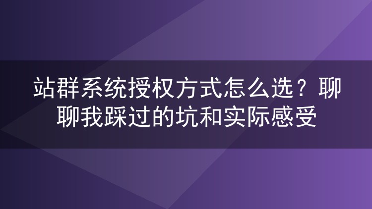 站群系统授权方式怎么选？聊聊我踩过的坑和实际感受