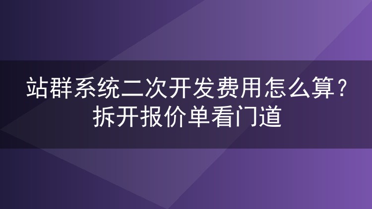 站群系统二次开发费用怎么算?拆开报价单看门道
