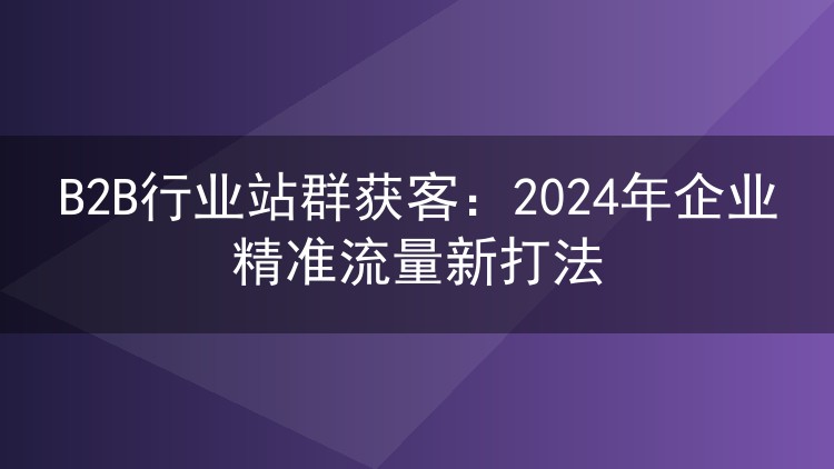 B2B行业站群获客:2024年企业精准流量新打法