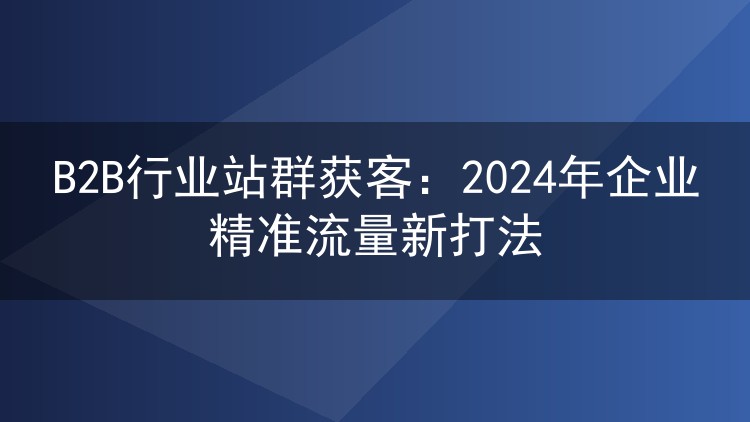 B2B行业站群获客:2024年企业精准流量新打法