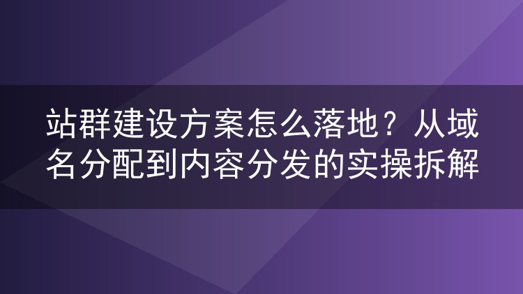 站群建设方案怎么落地？从域名分配到内容分发的实操拆解