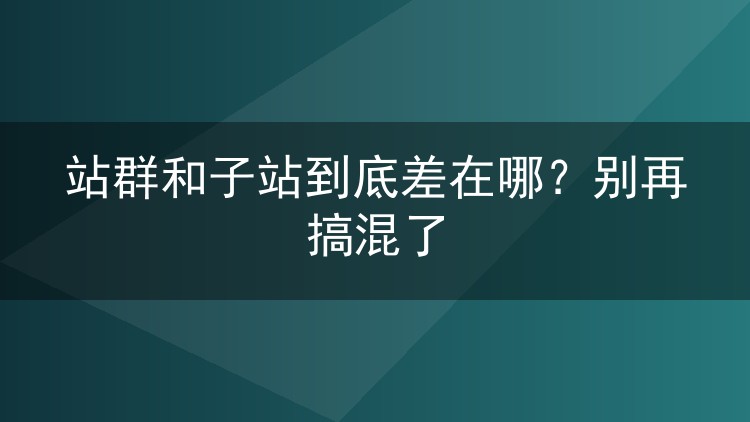 站群和子站到底差在哪?别再搞混了
