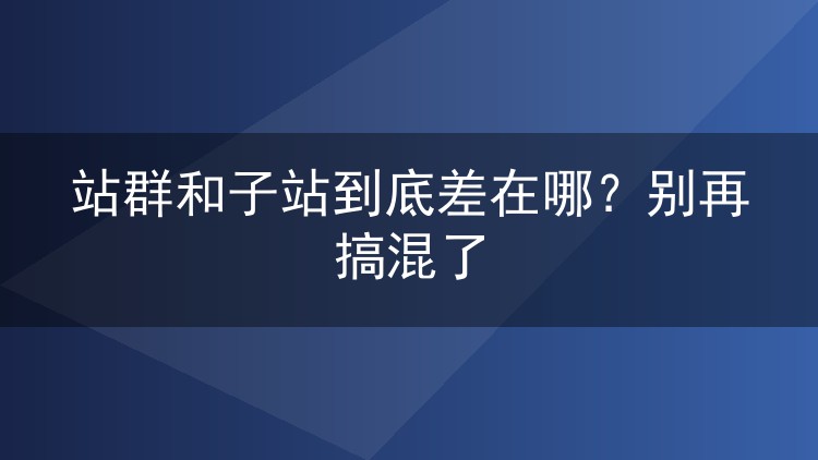站群和子站到底差在哪?别再搞混了