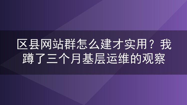 区县网站群怎么建才实用?我蹲了三个月基层运维的观察