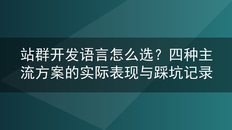 站群开发语言怎么选?四种主流方案的实际表现与踩坑记录