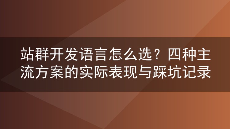 站群开发语言怎么选?四种主流方案的实际表现与踩坑记录