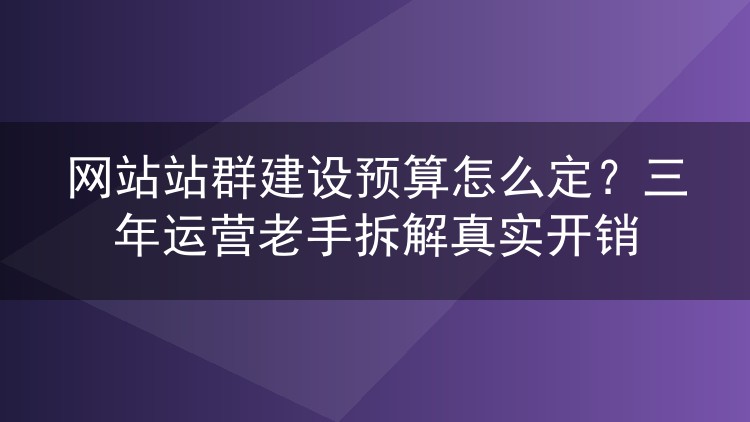 网站站群建设预算怎么定？三年运营老手拆解真实开销