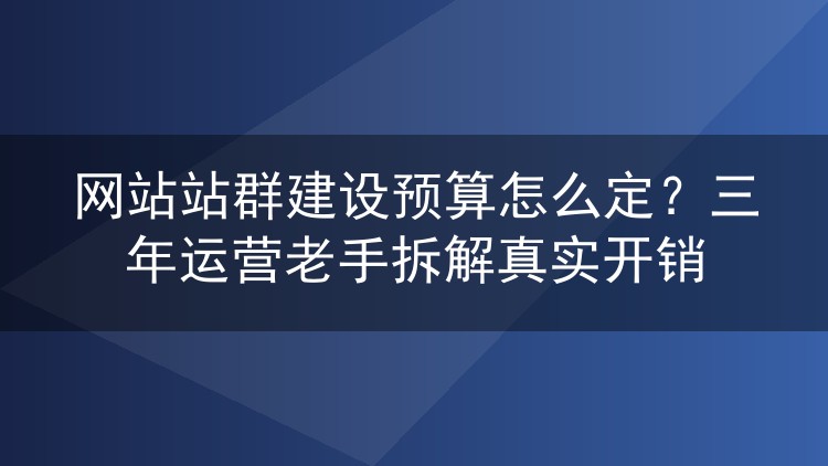 网站站群建设预算怎么定？三年运营老手拆解真实开销