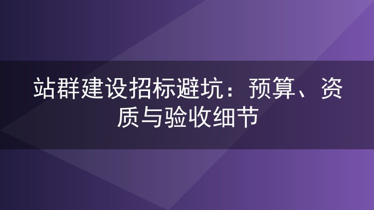 站群建设招标避坑：预算、资质与验收细节