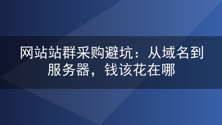 网站站群采购避坑：从域名到服务器，钱该花在哪