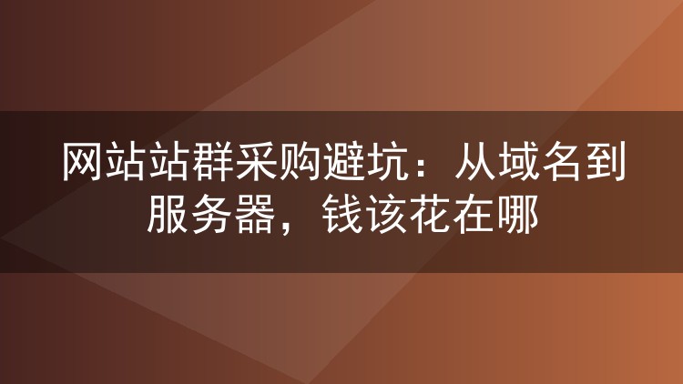 网站站群采购避坑:从域名到服务器,钱该花在哪
