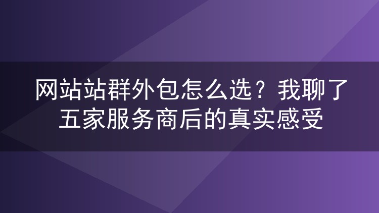 网站站群外包怎么选?我聊了五家服务商后的真实感受