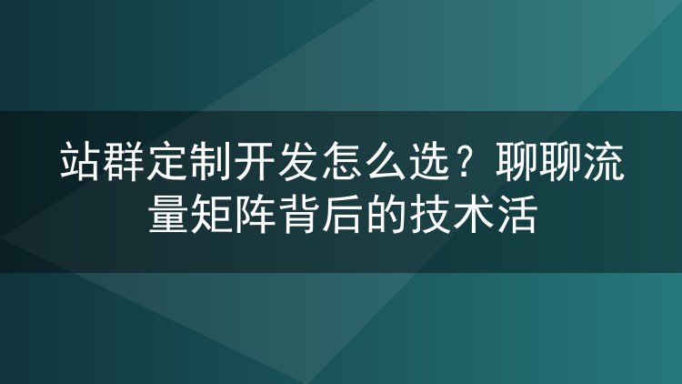 站群定制开发怎么选?聊聊流量矩阵背后的技术活