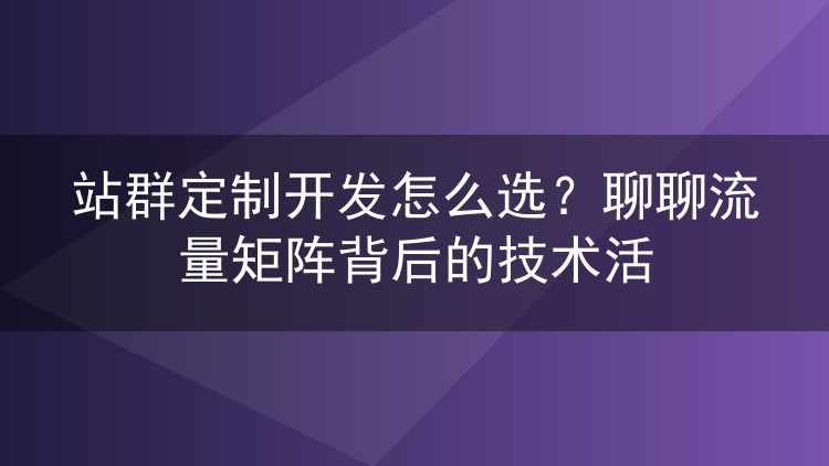 站群定制开发怎么选？聊聊流量矩阵背后的技术活